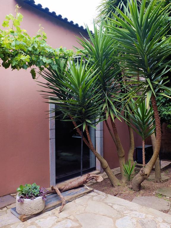 Villa Family Secrets Santo Andre Santa Maria da Feira Exterior foto